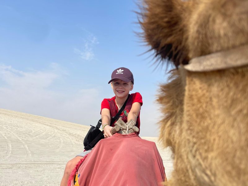 Desert Safari 3